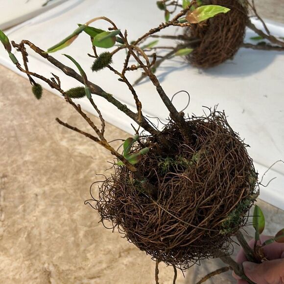 2 Large Bird Best Sprays - Picture 3 of 4